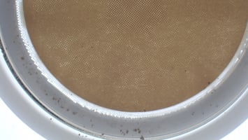 A photograph of an overloaded particulate matter sample filter.