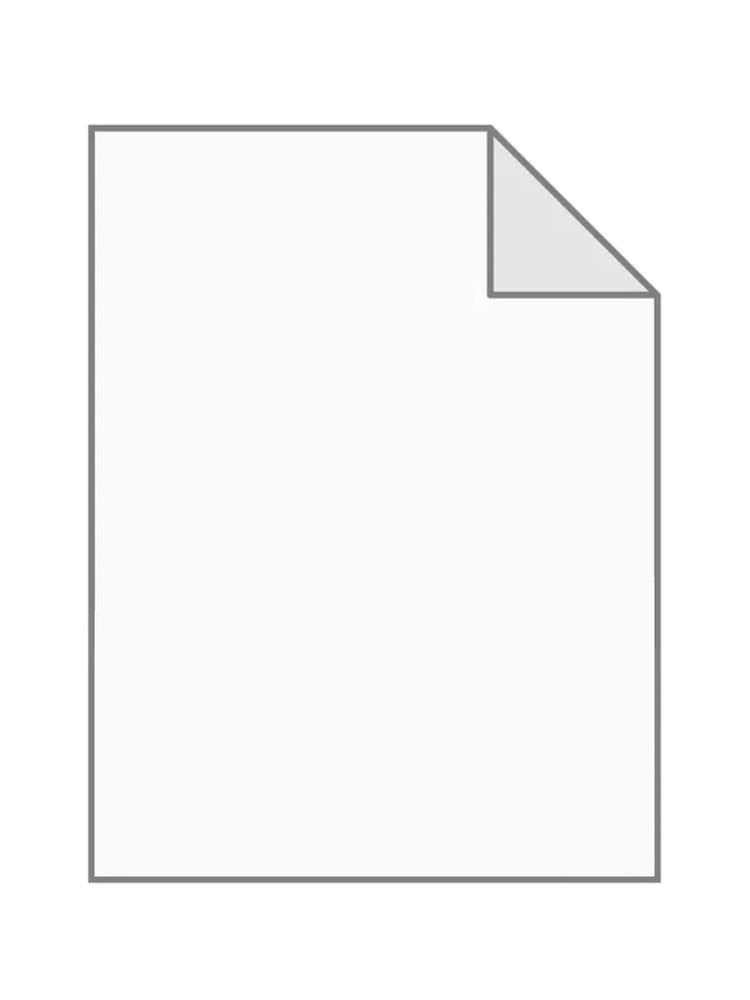 A file icon